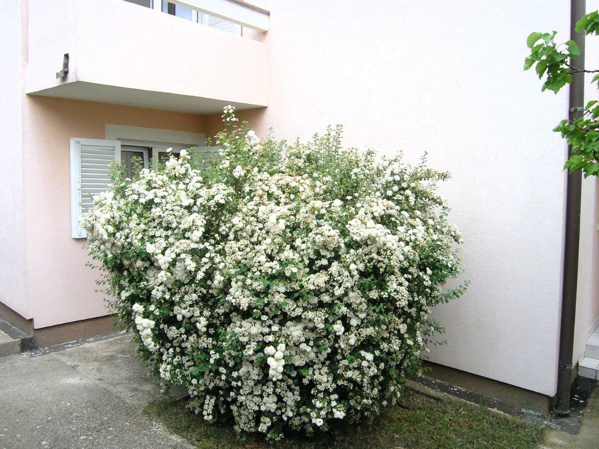 Apartments Sokolovic Krk Town Luaran gambar